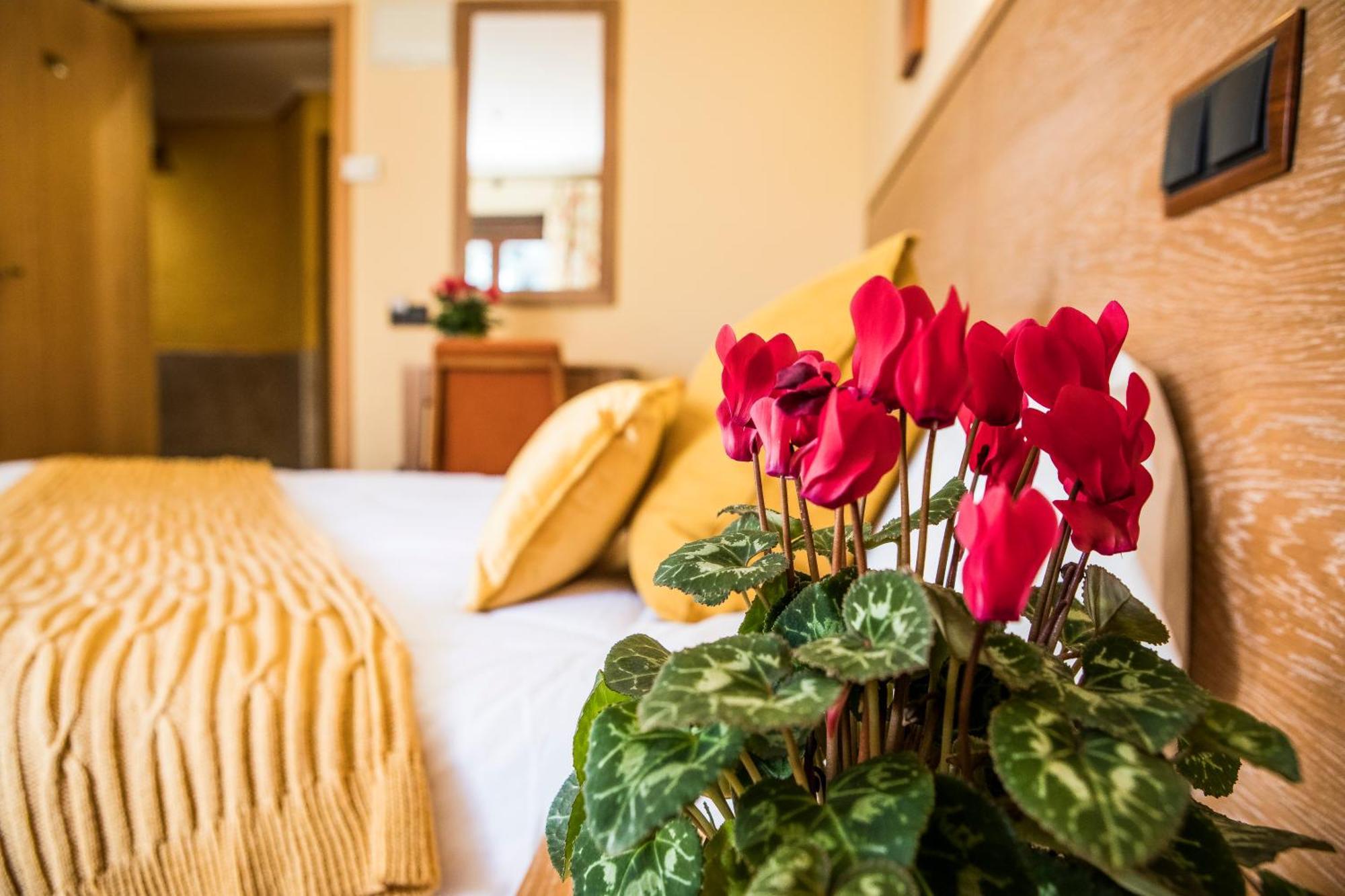 Hotel Casa Jose Diaz San Agustín de Guadalix Exteriér fotografie
